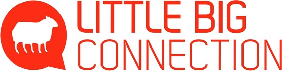 Logo Little big connection