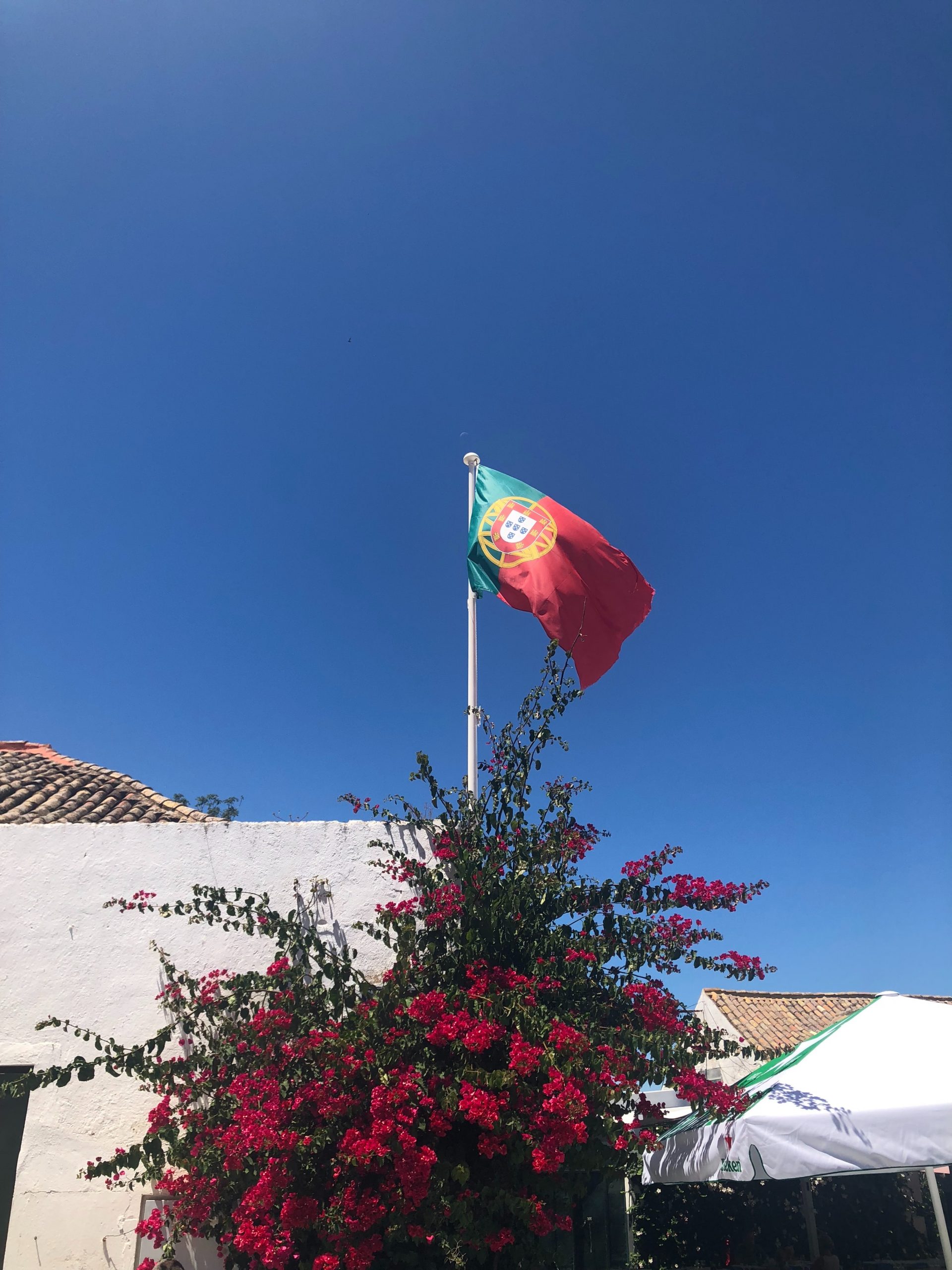 Cours de portugais CPF 1to1PROGRESS